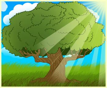 350x288 How To Draw How To Draw An Oak Tree