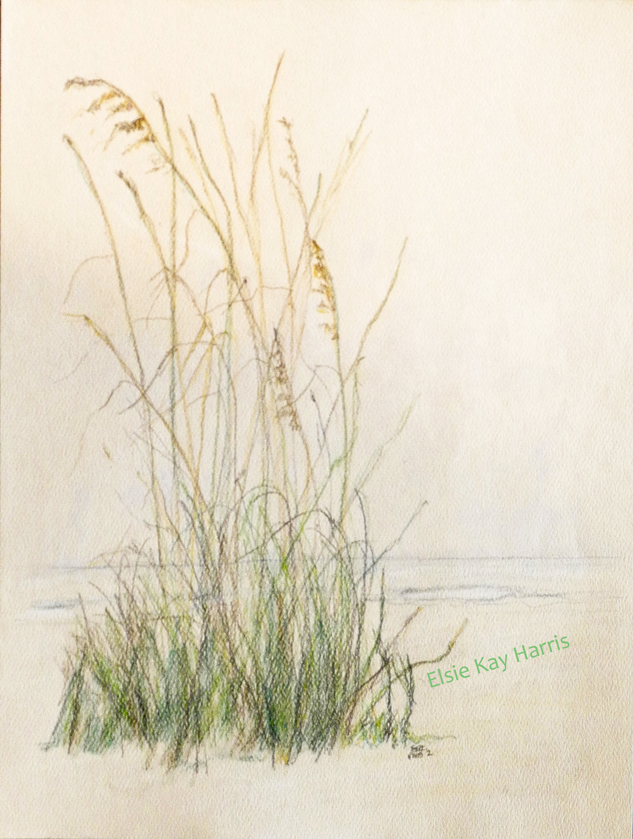 2036x2700 Sea Oats On The Sand Drawings