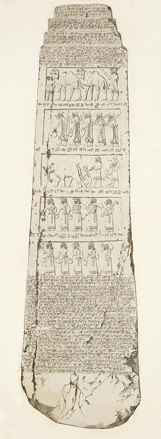 330x900 Third Side Of Obelisk, Illustration From Monuments Of Nineveh