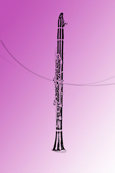 400x600 Clarinet Drawings Fine Art Photography