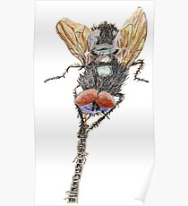 210x230 Oboe Drawing Posters Redbubble