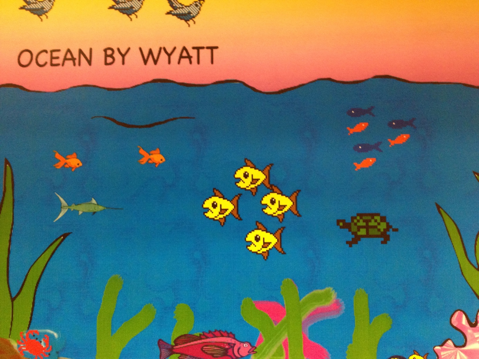 1632x1224 Second Grade Ocean Reefs 2012 Technology From Scs Elementary