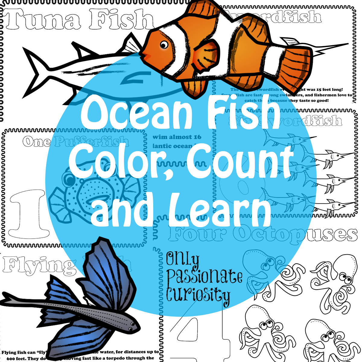 1200x1200 Ocean Fish Color, Count And Learn Pack Only Passionate Curiosity