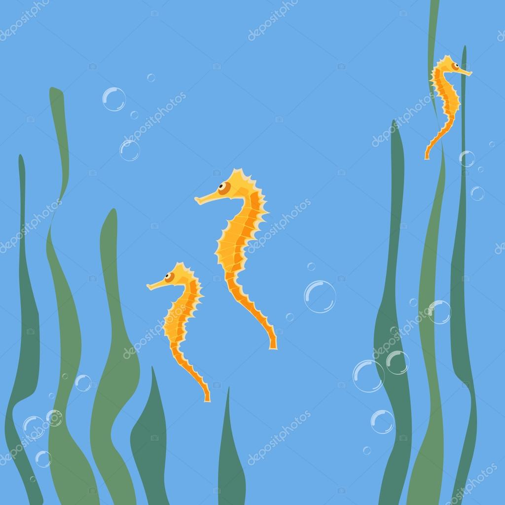 1024x1024 Sea And Fish, Ocean Fish Animal, Drawing Illustration Marine Life