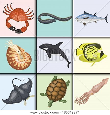 450x470 Set Different Types Sea Animals Vector Amp Photo Bigstock