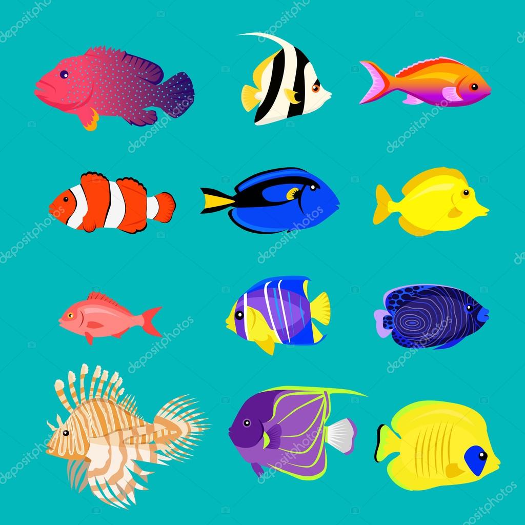 1024x1024 Set Of Sea Fish Color Design Flat Stock Vector Robuart