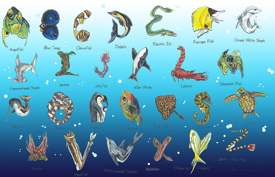 Океан на букву д. Морские животные алфавит. Буквы в виде морских обитателей. Морская Азбука для детей. Морские обитатели по алфавиту.