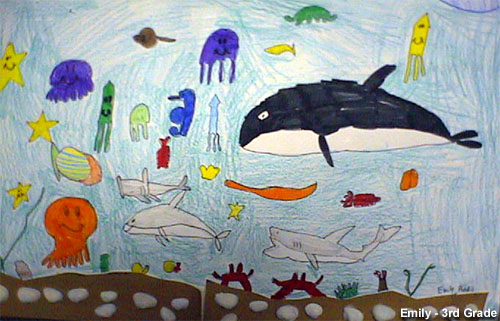 500x321 Stellwagen Bank Nms Ocean Life Drawing