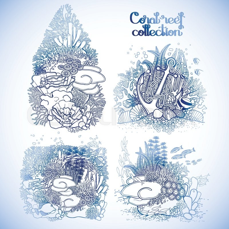 800x800 Coral Reef Design Collection In Line Art Style. Sea And Ocean
