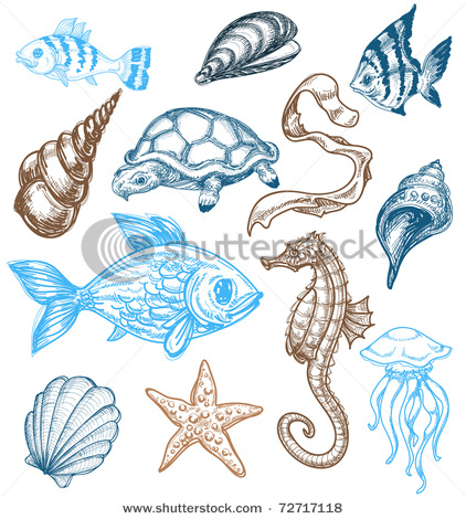 422x470 Marine Life Clip Art For Sara Marines, Clip Art
