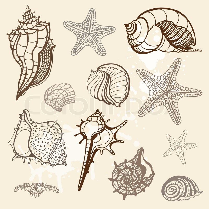 800x800 Marine Plant Life Tattoo Sea Plants Drawing Sea Collection Hand
