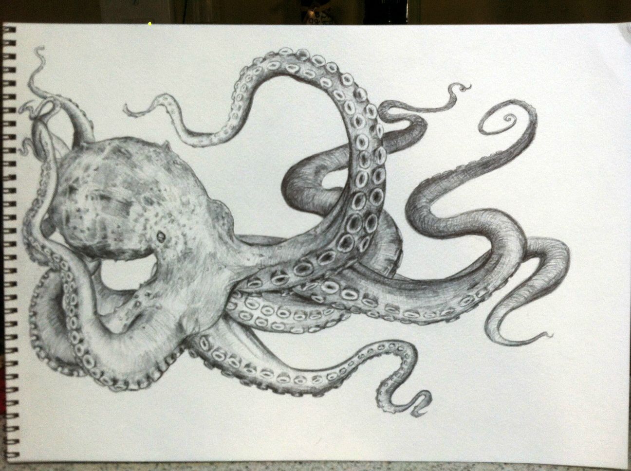 1296x968 Octopus Drawing Octopus Sketch, Sketches And Tattoo