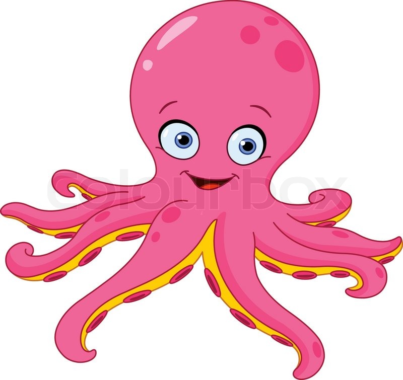 800x755 Cute Octopus Stock Vector Colourbox