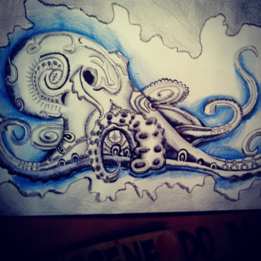 894x894 Octopus Drawing [F] By Azamalakazam