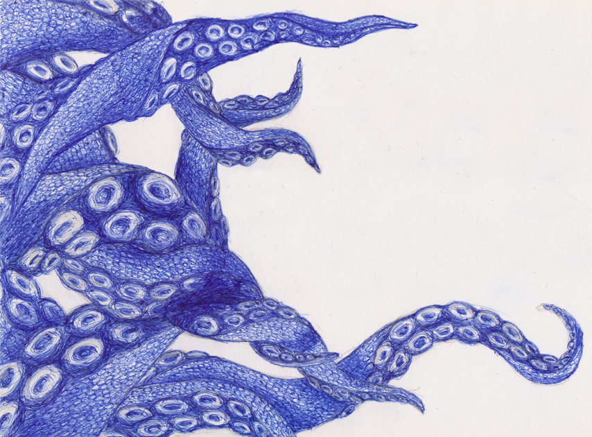 854x630 Octopus Drawing By Kokotex