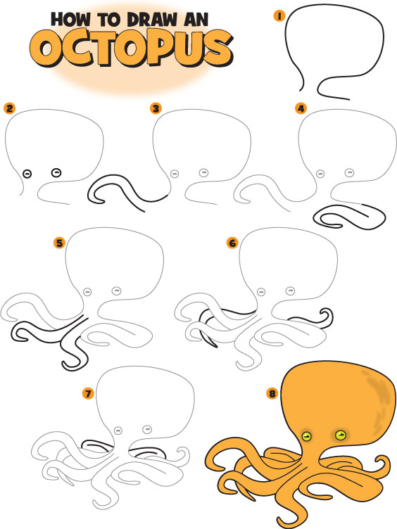564x752 How To Draw An Octopus Kid Scoop