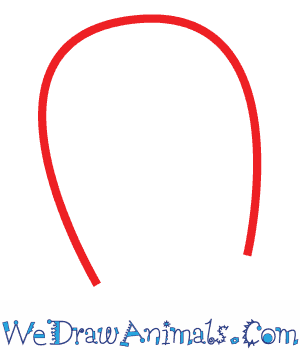 300x350 How To Draw An Octopus