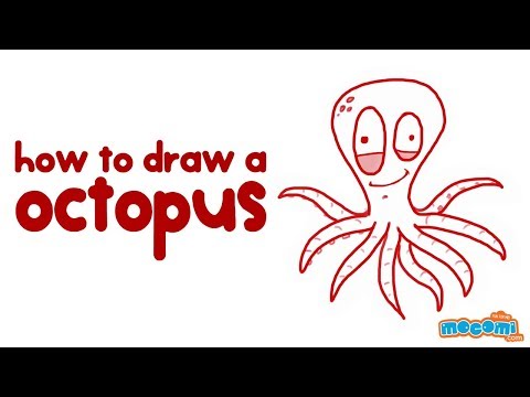480x360 Octopus For Kid