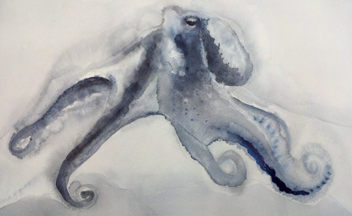 717x441 Drawing With Octopus Ink