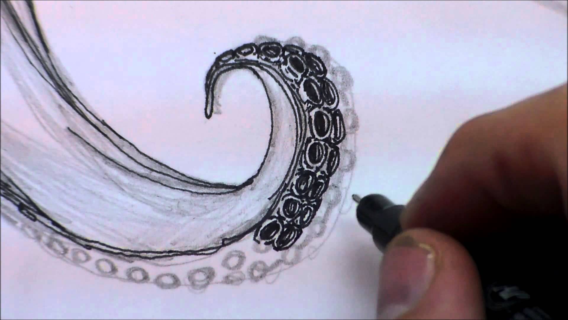 1920x1080 Pen And Ink Illustration Octopus Drawing