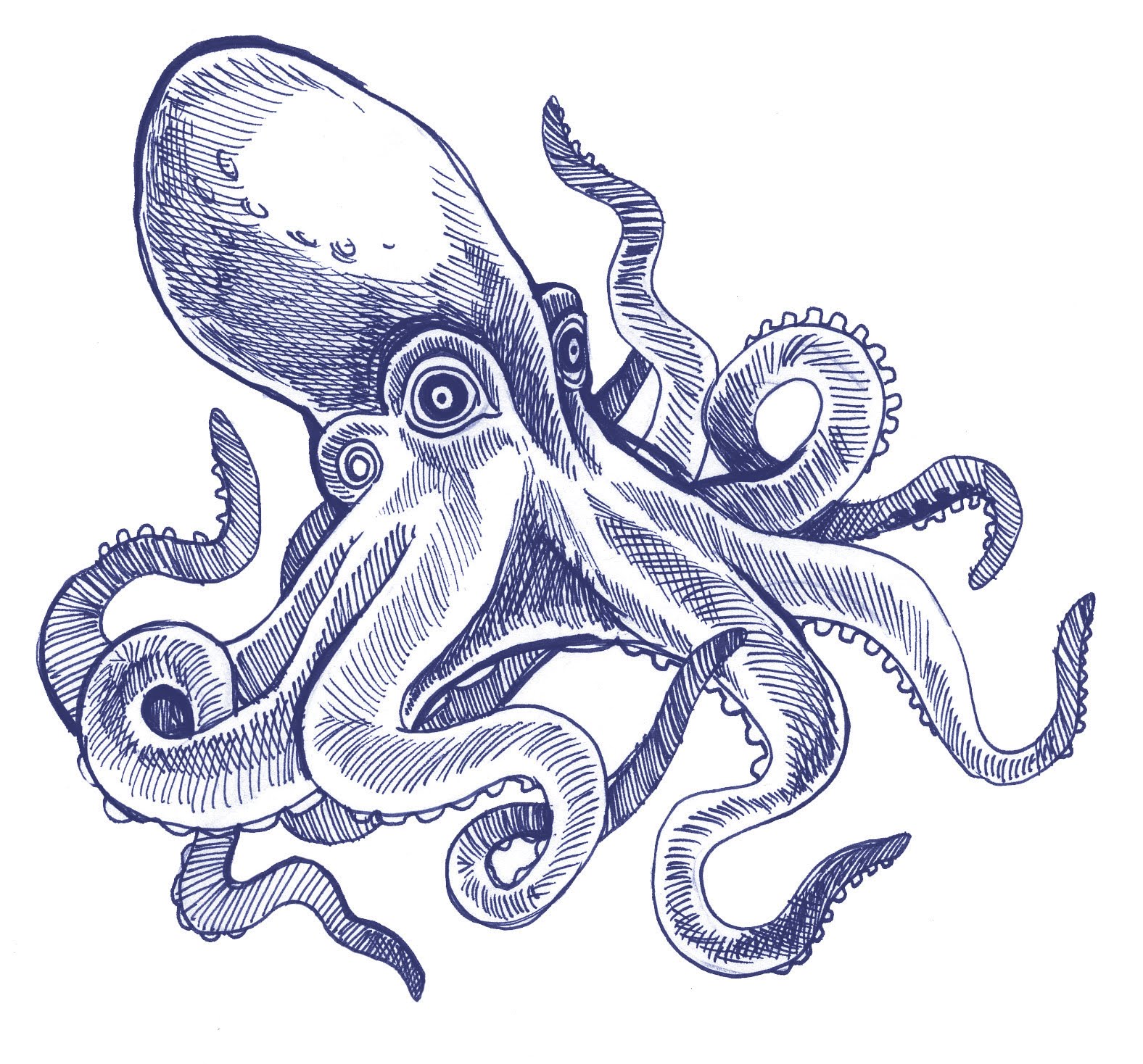 1576x1468 Octopus Ink Drawing By Stacey Rozich. Epic Shading, Love It. Art