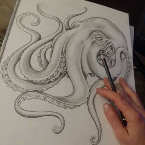 Featured image of post Pencil Octopus Drawing Realistic