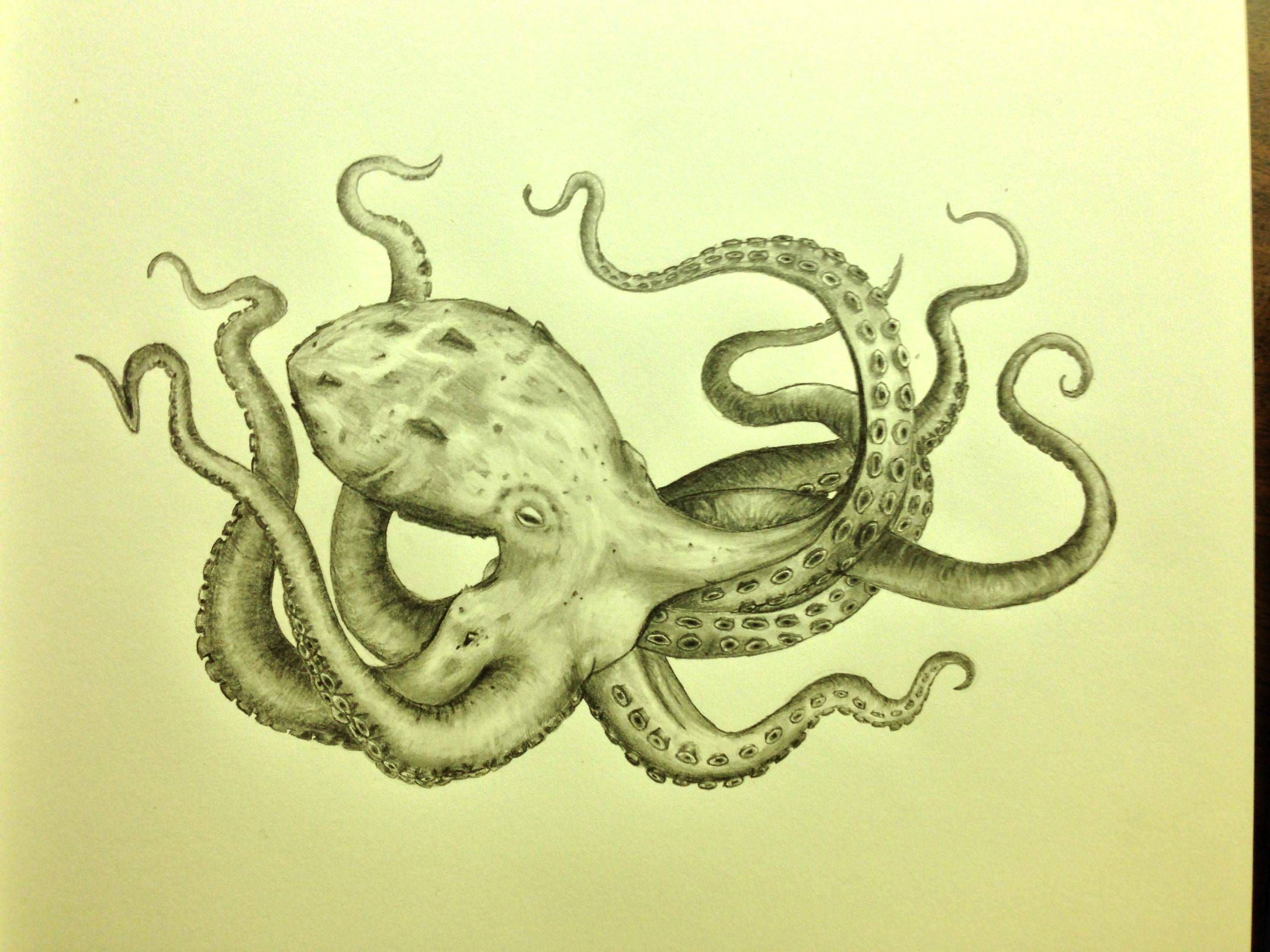 2937x2203 Drawing Octopus