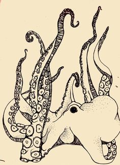 236x323 Octopus