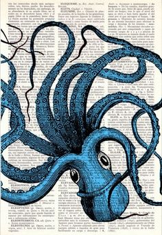 236x342 Vintage Turquoise Octopus N 23