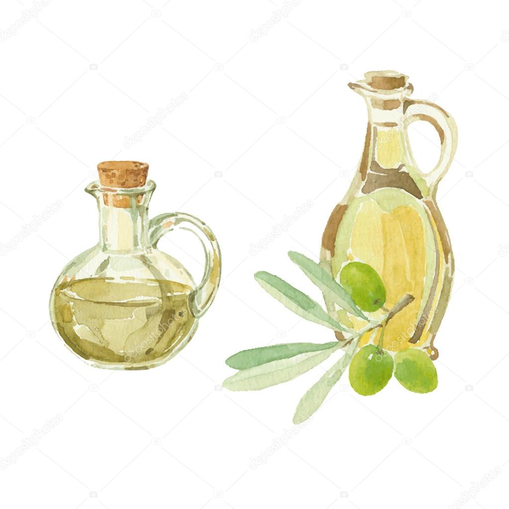 1024x1024 Olive Branch And Olive Oil Stock Vector Maritime M