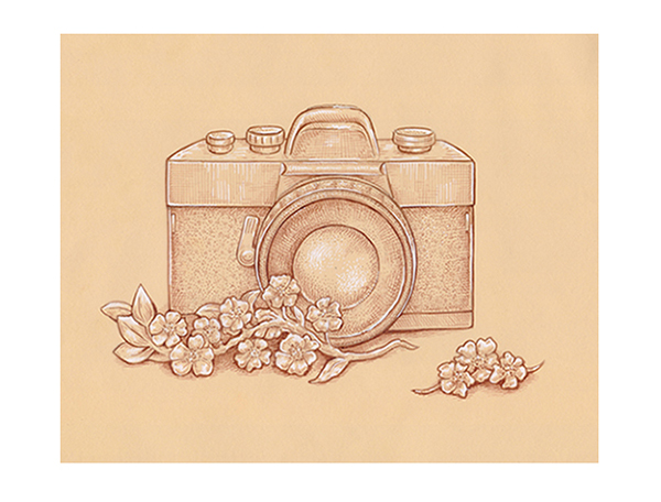 600x456 How To Draw A Vintage Camera With Sepia Ink Liners On Toned Paper