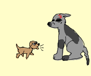 300x250 Puppy Versus Grumpy Old Dog