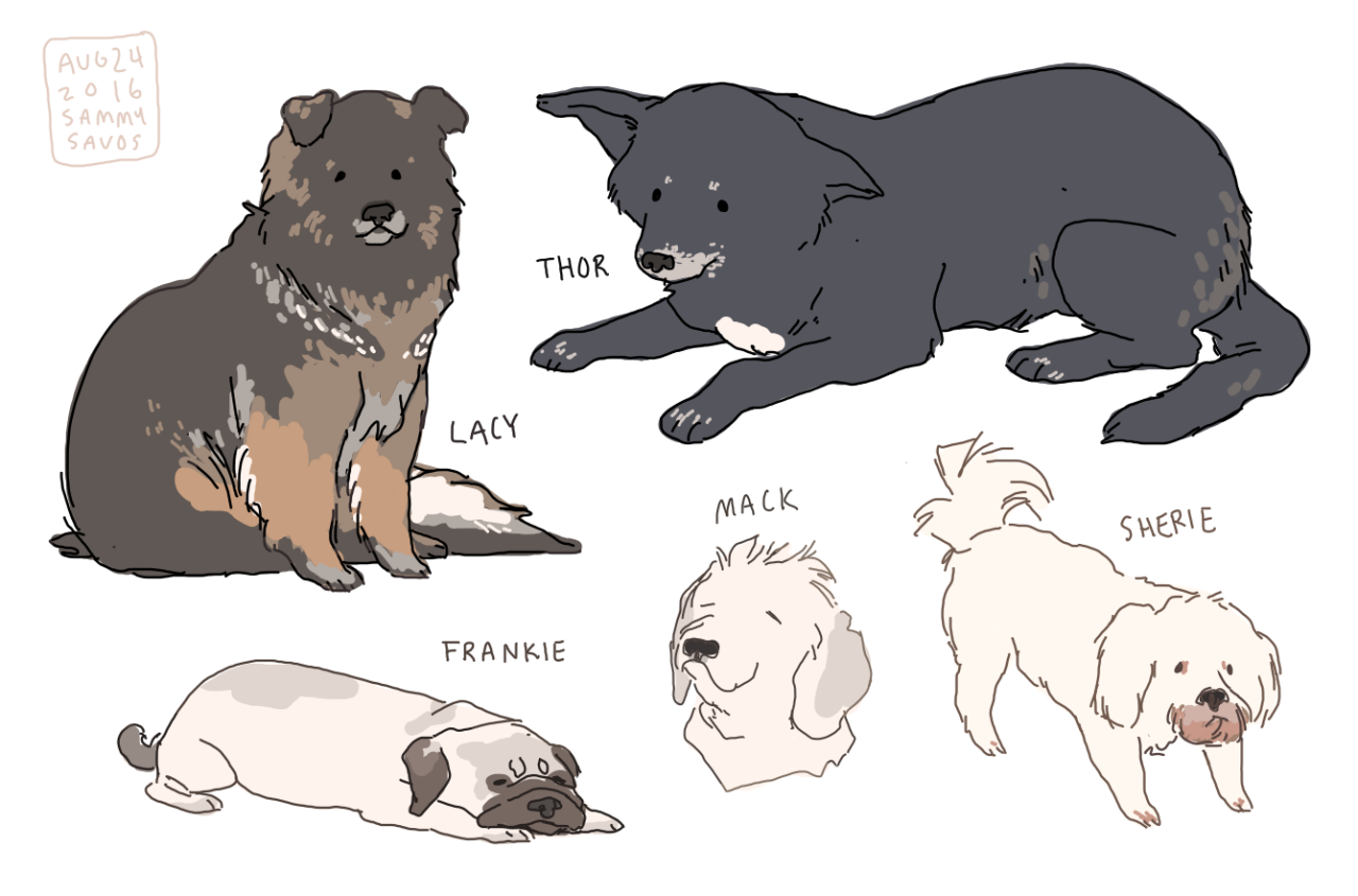 1280x845 Simmer In This! Hamotzi Some Of The Dogs From Old Friends