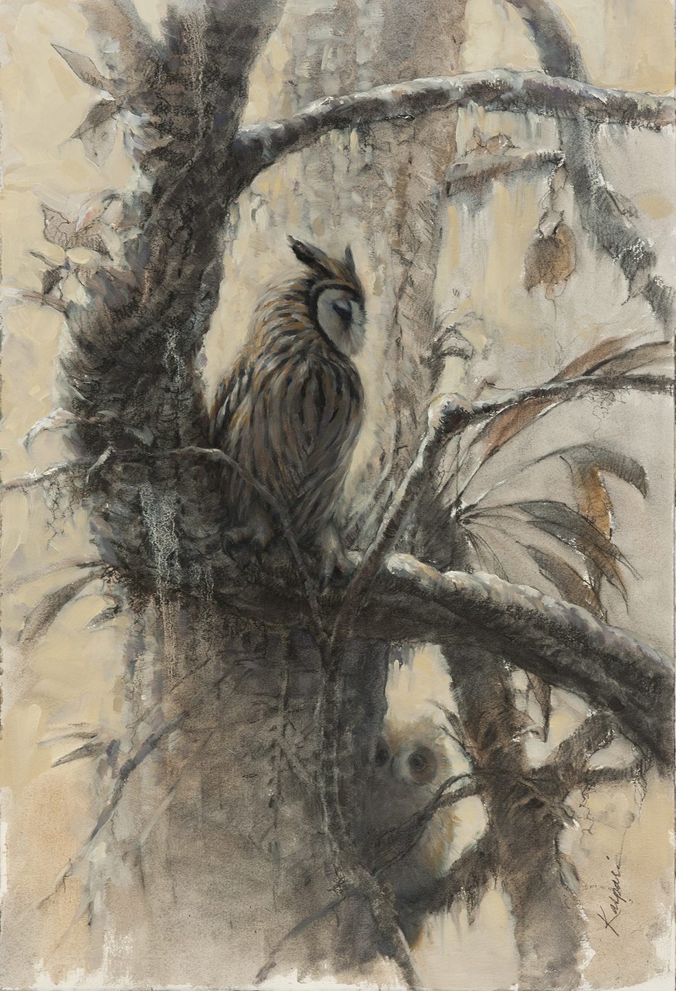 983x1440 From A Pile Of Old Drawings Drawing The Motmot