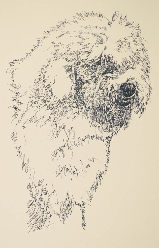 641x1000 Old English Sheepdog Dog Art Portrait By Stephen Kline
