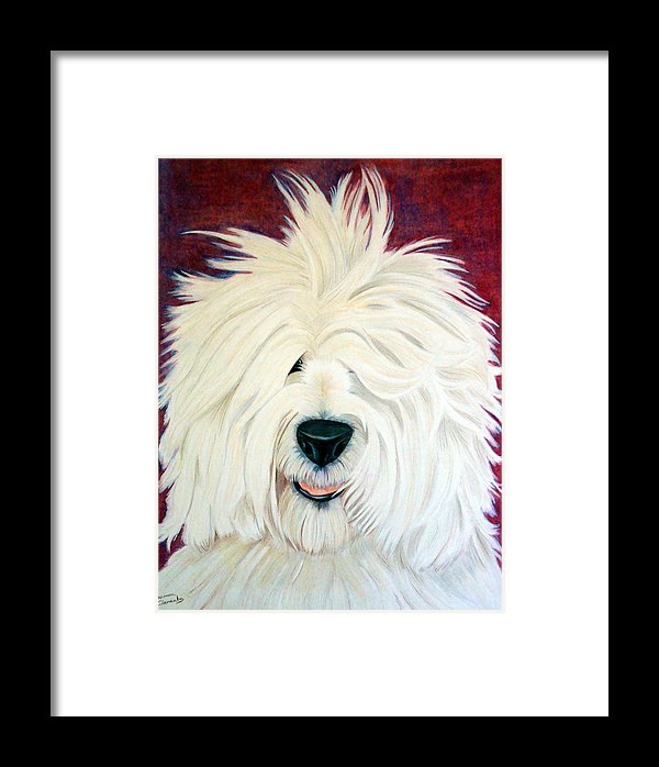 600x698 Portrait Of An English Sheepdog Framed Print By Shannon Clements