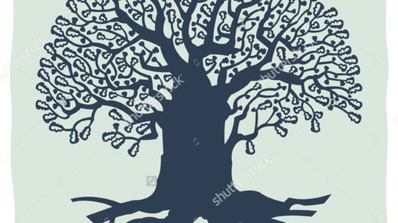 570x320 Old Oak Tree Drawing 5,497 Oak Tree Drawing Cliparts, Stock Vector