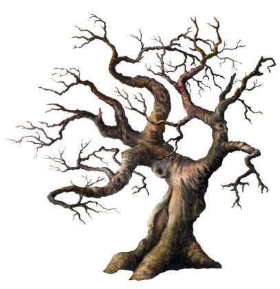 Old Oak Tree Drawing at GetDrawings | Free download