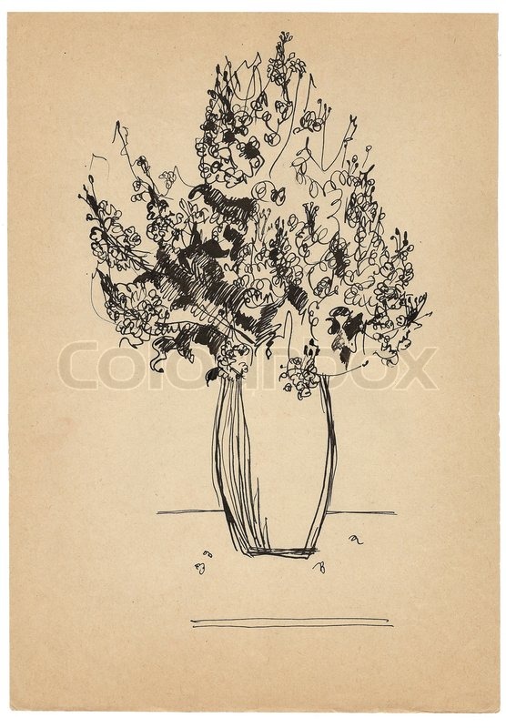 556x800 Pen Drawing Bouquet Sketch On Old Paper Stock Photo Colourbox