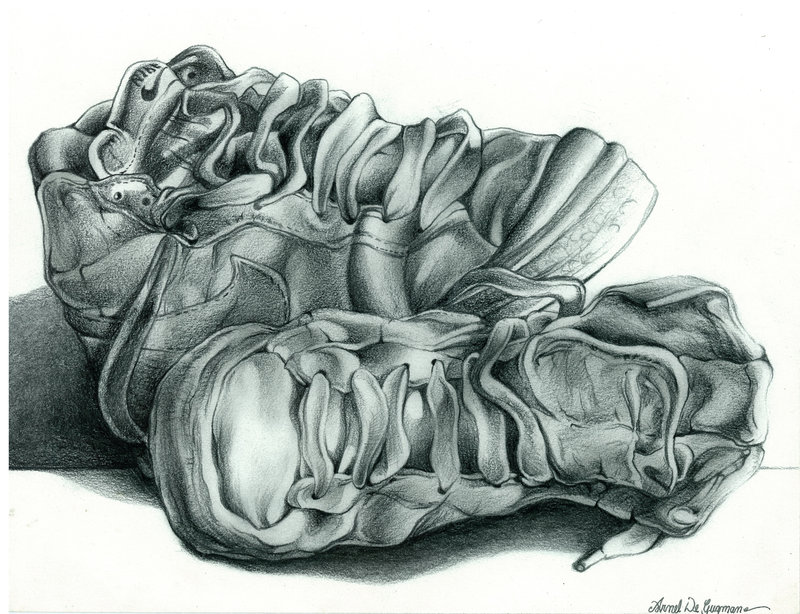 800x614 Gcse Figure Drawing