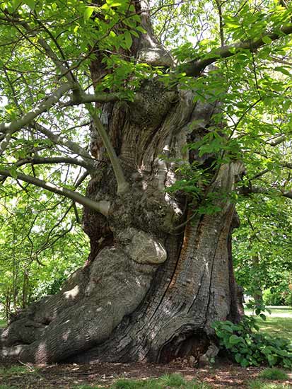 413x550 Sarah Mcintyre