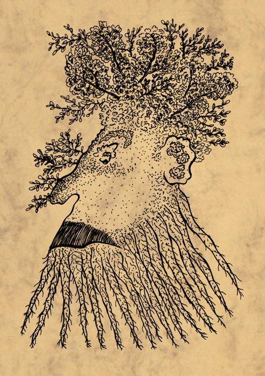 533x756 Tree Man My Inky Days