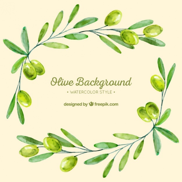 626x626 Olive Branch Vectors, Photos And Psd Files Free Download