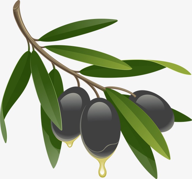 650x604 Drawing Black Olives, Black Olive, Food, Ingredients Png Image
