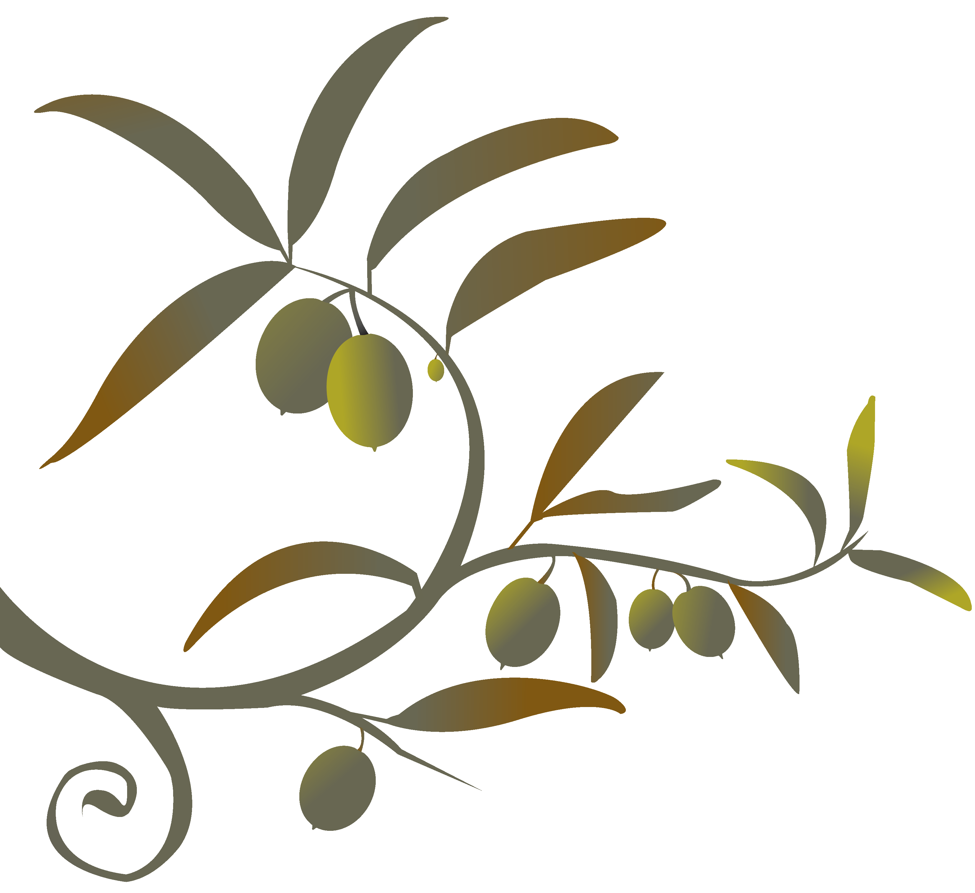 3306x3030 Image Of Olive Tree Clipart