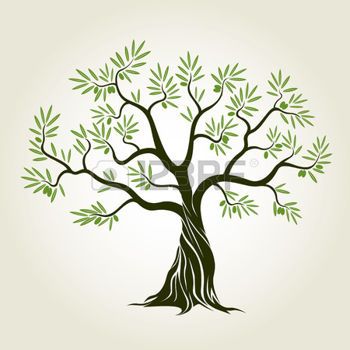 350x350 Olive Tree Olive Tree With Leafs. Vector Illustration