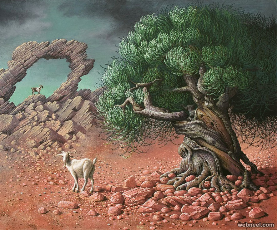 886x737 Olive Tree Drawings By Miriamescofet 13