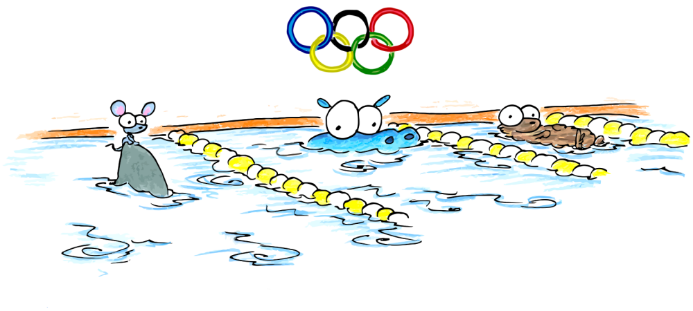 1000x450 Screen Background Sea Otter, Hippo, And A Mouse On A Shark