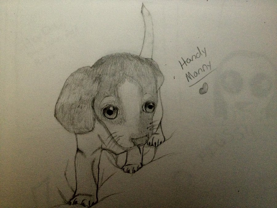 900x675 Omg Random Puppy Drawing!! By Dezzidoodlebug