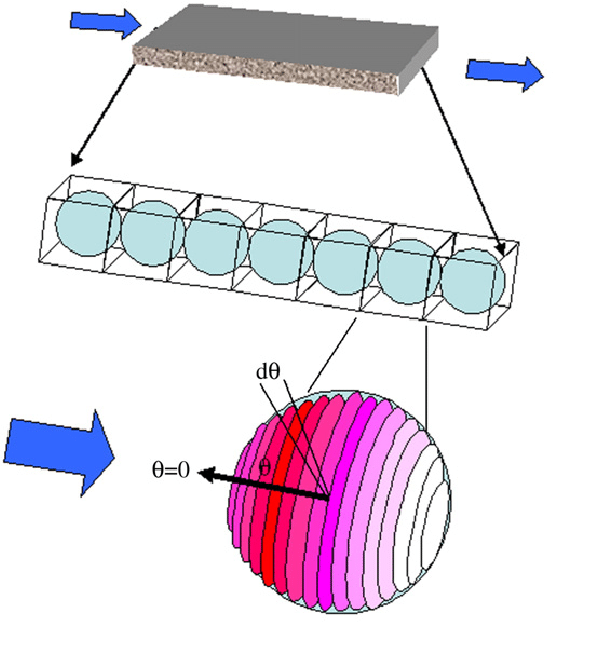 600x645 Schematic Drawing Depicting One Dimensional (1 D) Advective